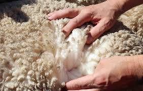 Pogon za proizvodnju izolacione vune krenuo sa radom