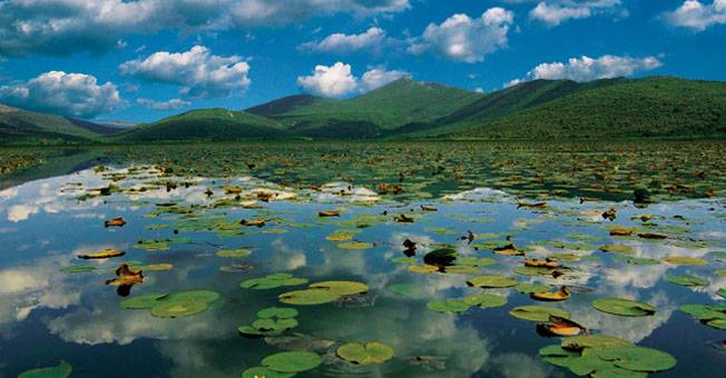 WWF spasava Hutovo blato